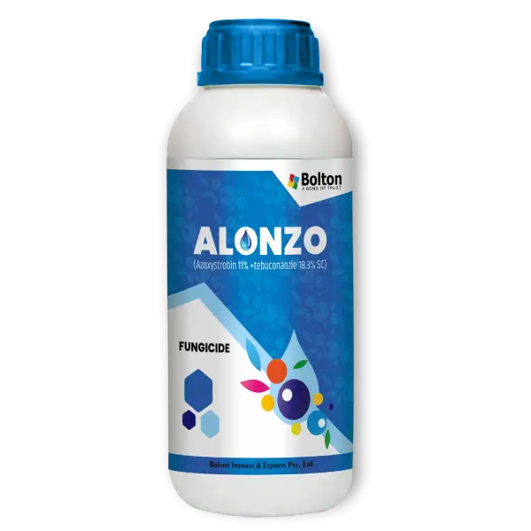 alonzo
