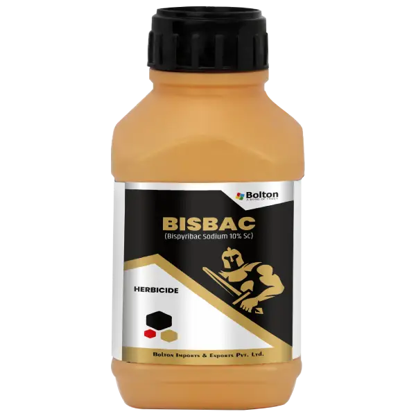 bisbac