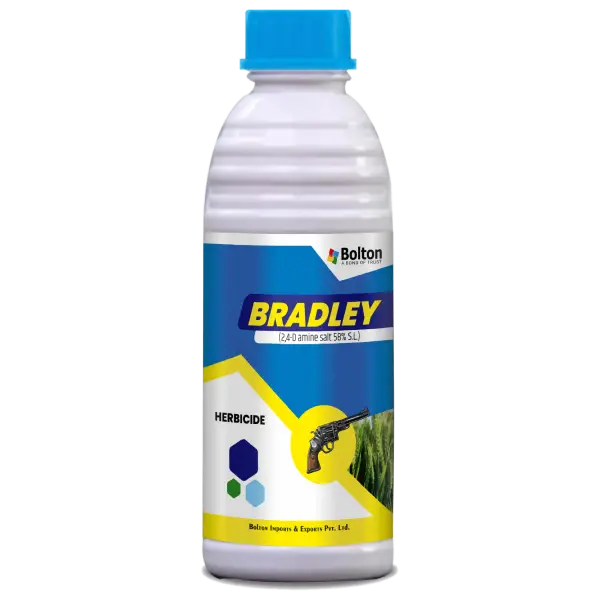 bradley