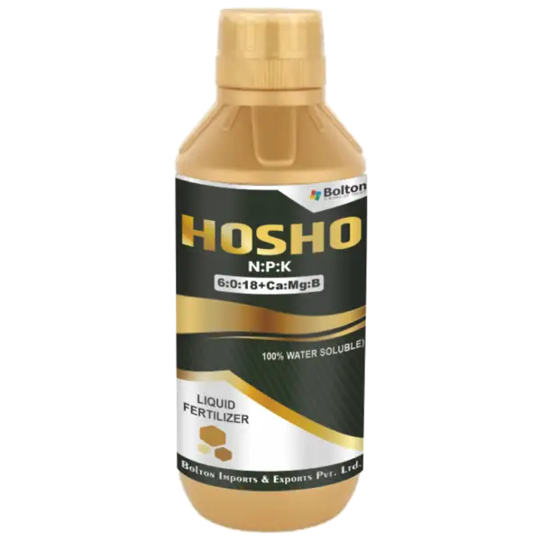 hosho
